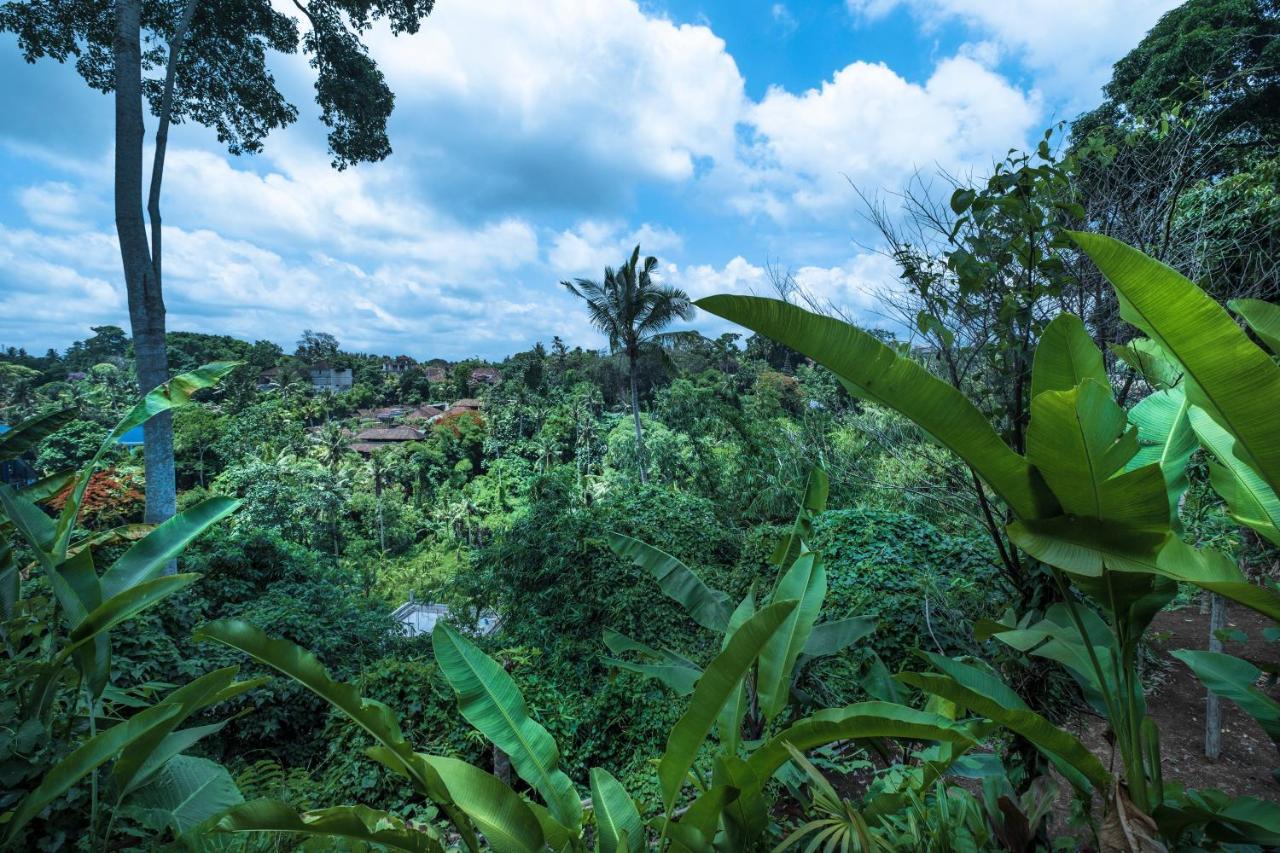 Murni'S Houses & Spa Ubud  Exterior photo